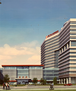 Affiliated Cardiovascular Hospital of Xiamen University